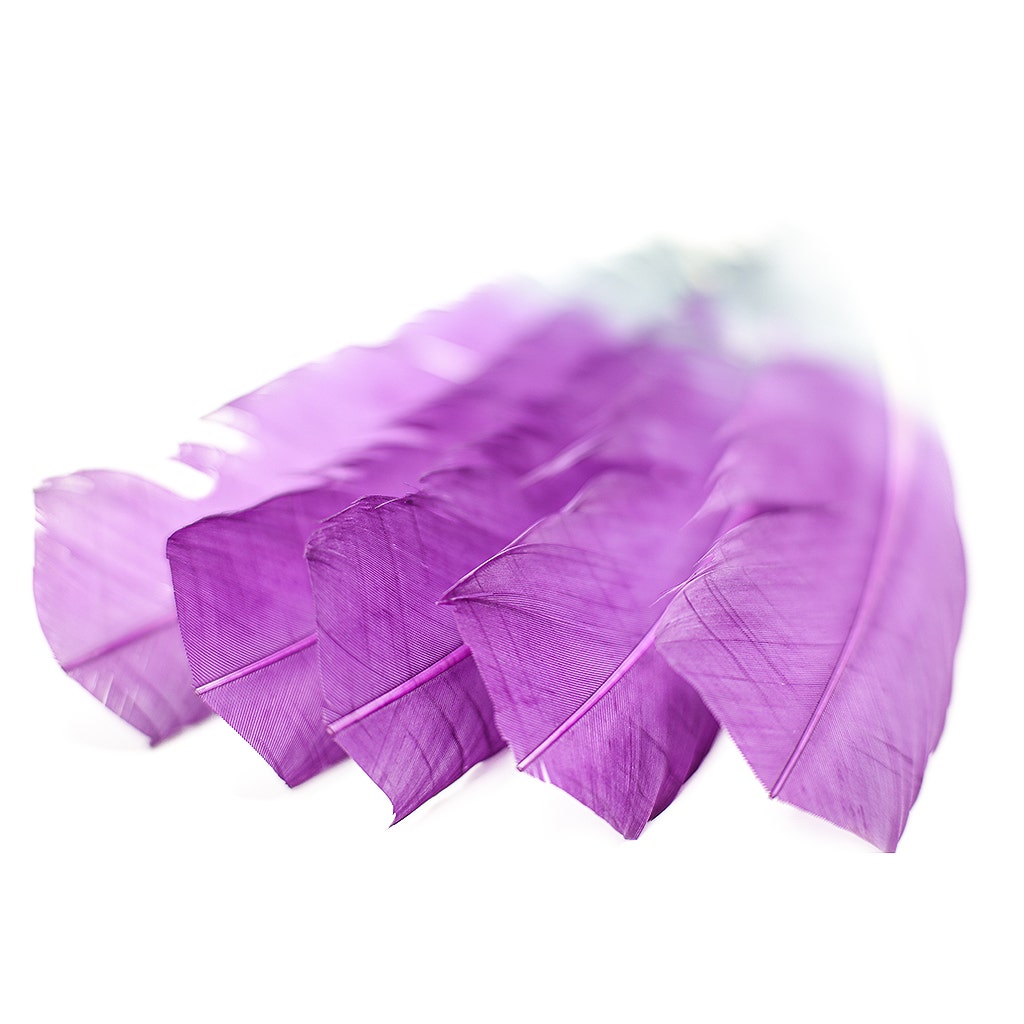 Ombre Turkey Quill 10-12" Left Wing Tip Silver .25 lb - Amethyst