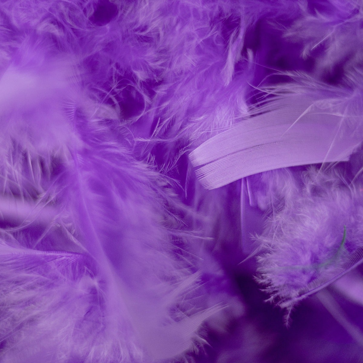 Chandelle Feather Boa - Medium Weight - Lavender