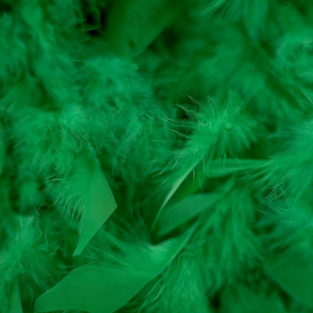 Chandelle Feather Boa - Medium Weight - Kelly