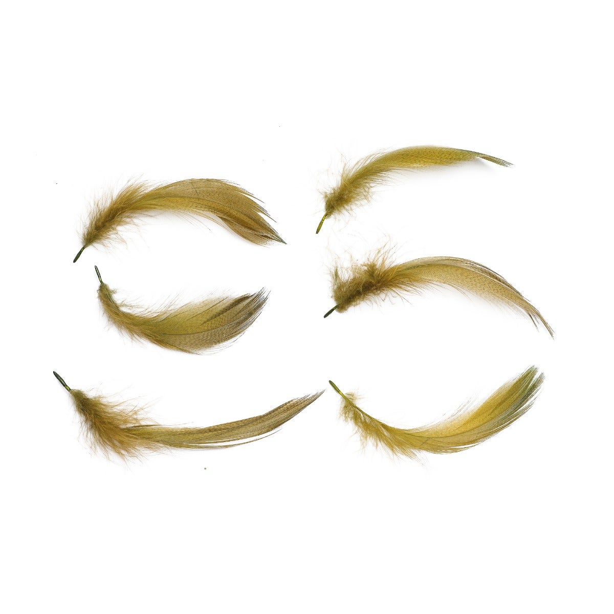 Duck Plumage Mallard Feathers - Olive
