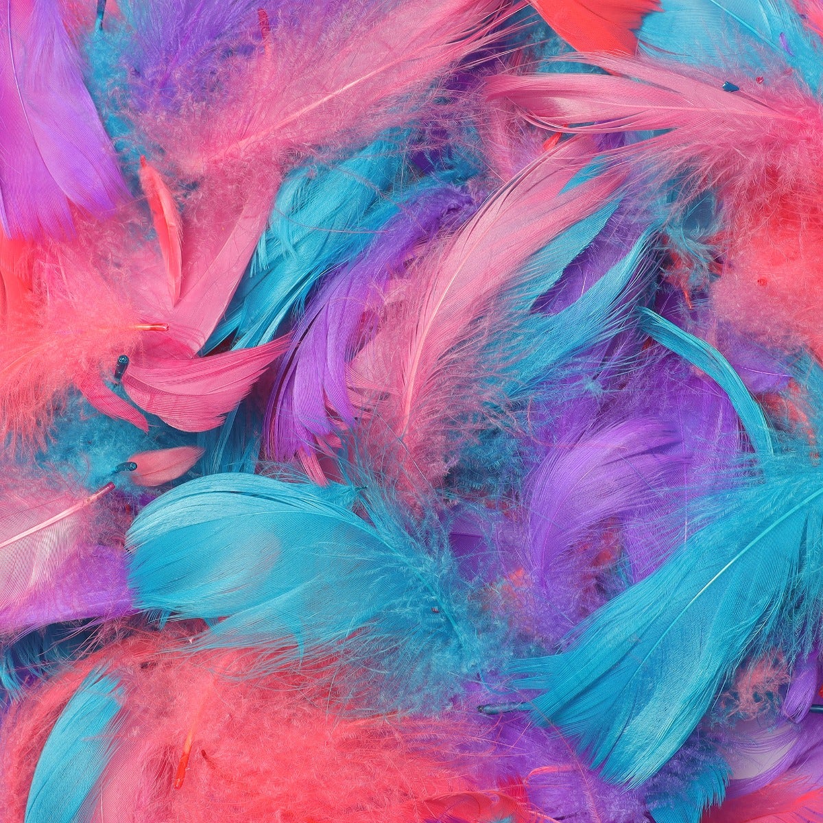 Loose Goose Coquille Mix Dyed - Coral Reef Mix