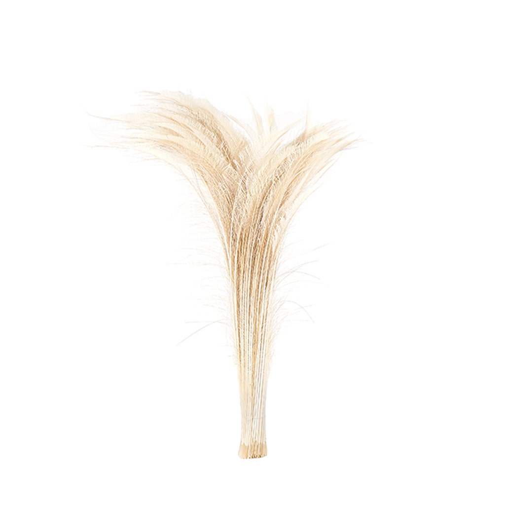 Peacock Swords Bleached Dyed - Ivory