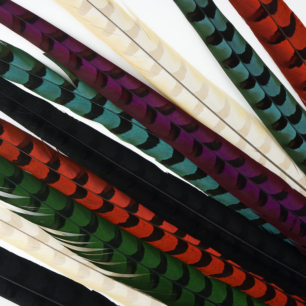 Venery Pheasant Tails - Bleached and Dyed - 30 - 40" 1pc - Ivory