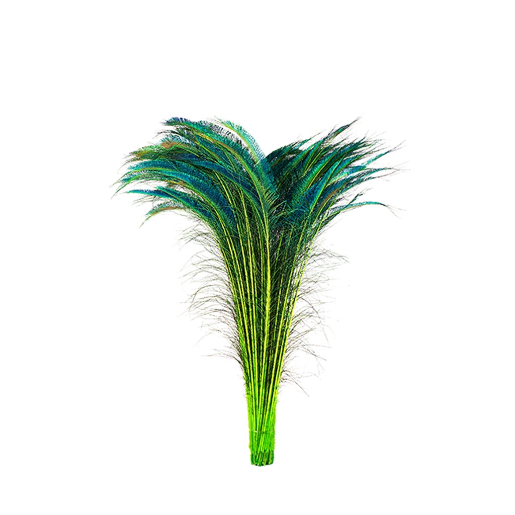 Zucker Feather Products Peacock Swords Stem Dyed - Lime