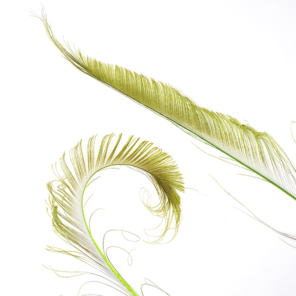 Peacock Swords Bleached/Dyed - Lime