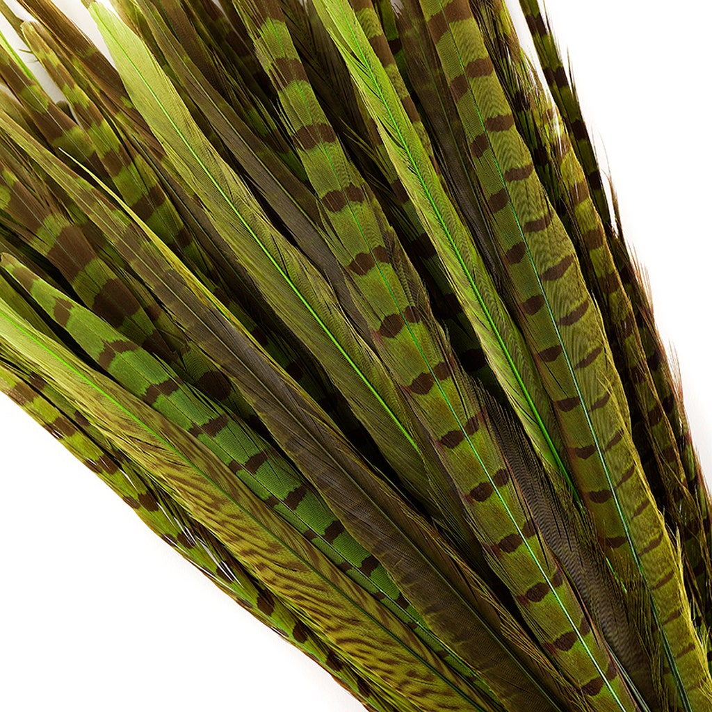 Assorted Pheasant Tails Dyed - Lime