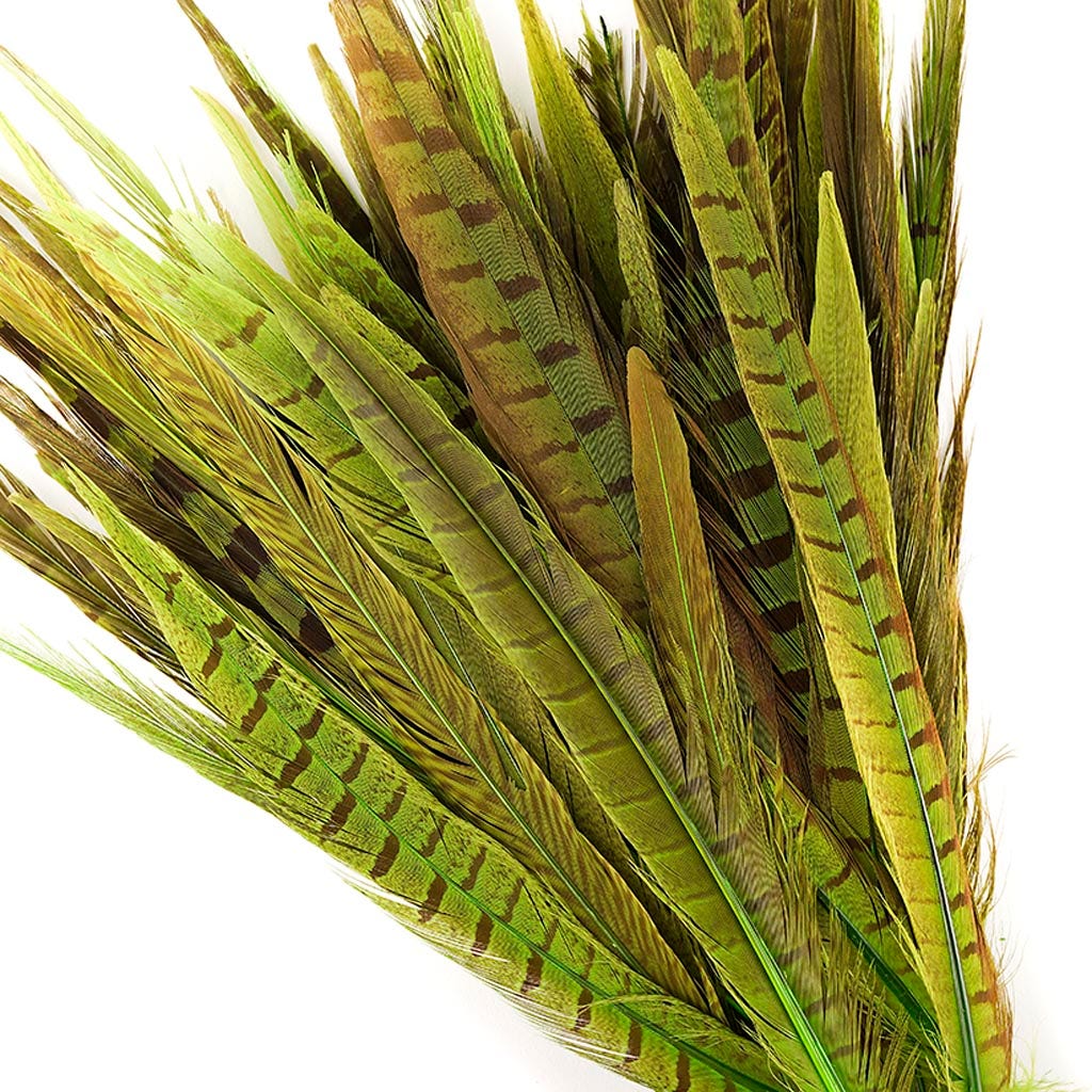 Pheasant Tails Assorted Bleached - Lime