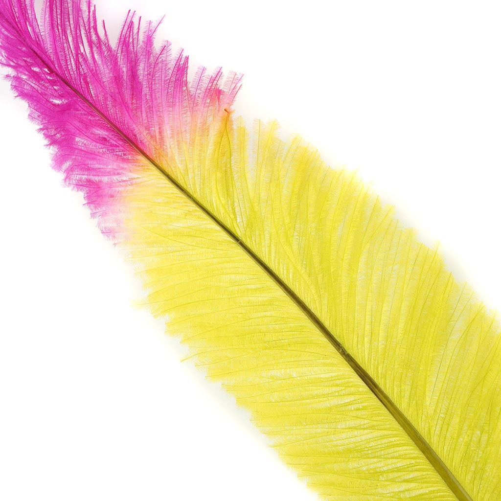 Ostrich Nandu Tipped Feathers Selected - Fl Lime Green - Shocking Pink