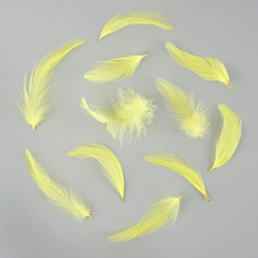 Rooster Hackle Feather Dyed 1-3" - Fl Chartreuse