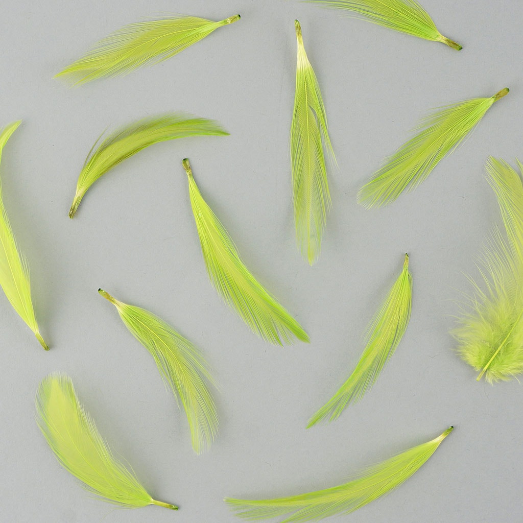Rooster Hackle-Dyed - Lime