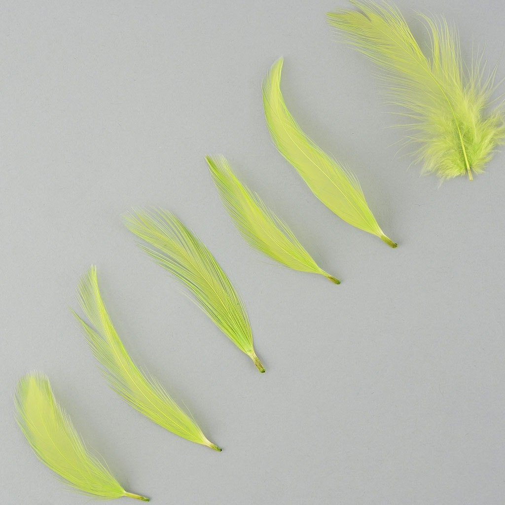 Rooster Hackle-Dyed - Lime