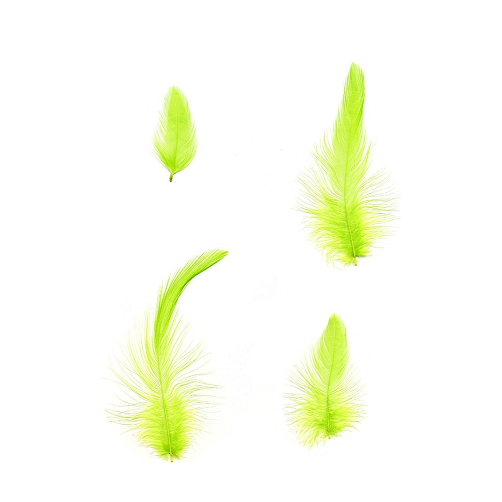 Rooster Hackle-White-Dyed - Lime