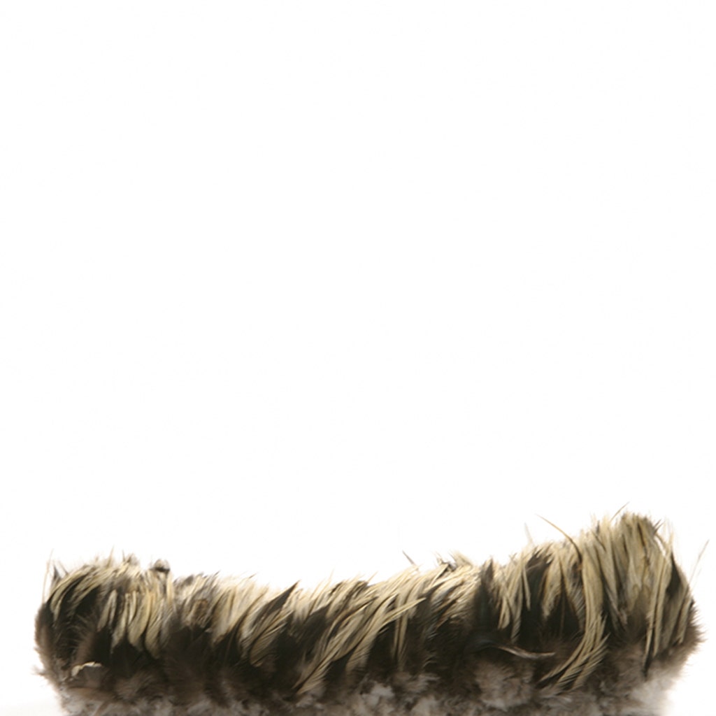 Rooster Saddle - Badger - Natural - 3 - 4"