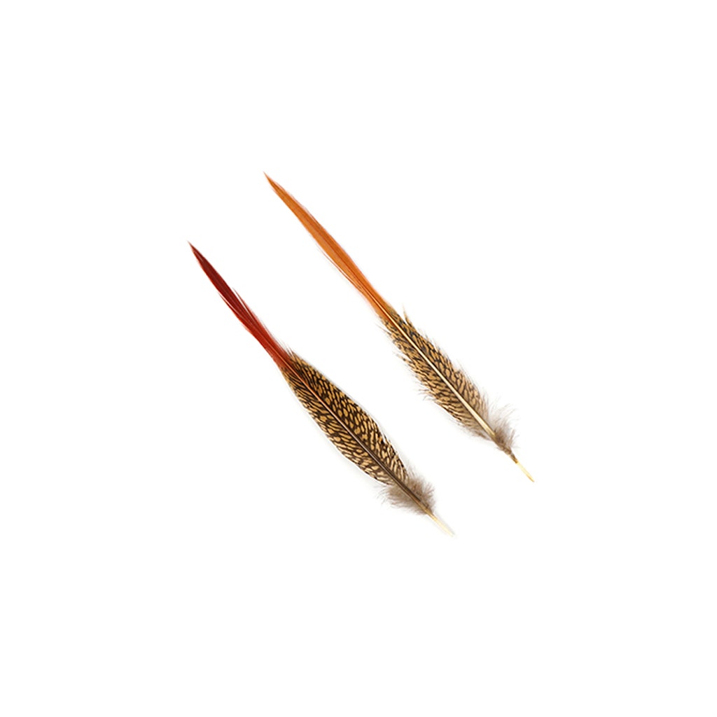 Golden Pheasant Red Top Tail Feathers - Natural - 8 - 10"