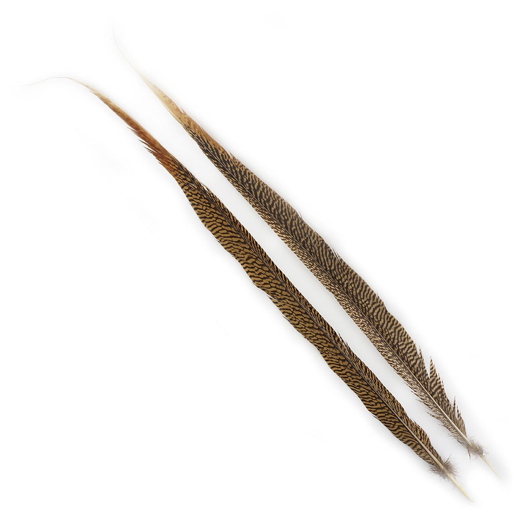 BGP30N Golden Pheasant Tails 25-30" Natural (3 Pieces Per Package)