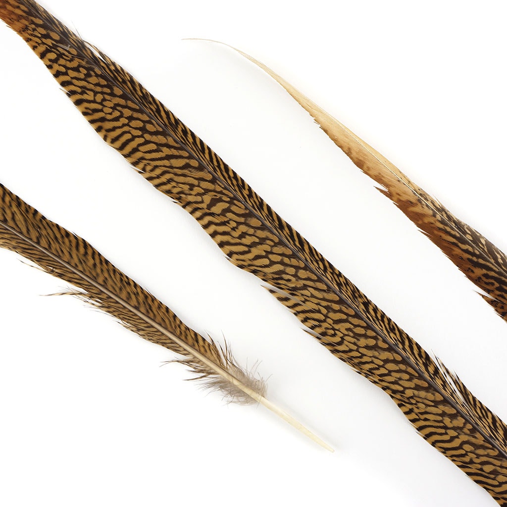 BGP30N Golden Pheasant Tails 25-30" Natural (3 Pieces Per Package)