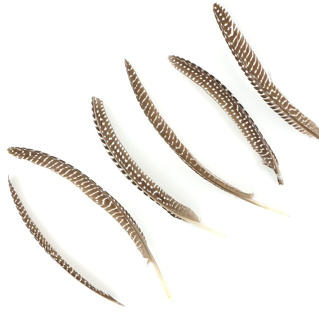 Guinea Feather Pointers Natural