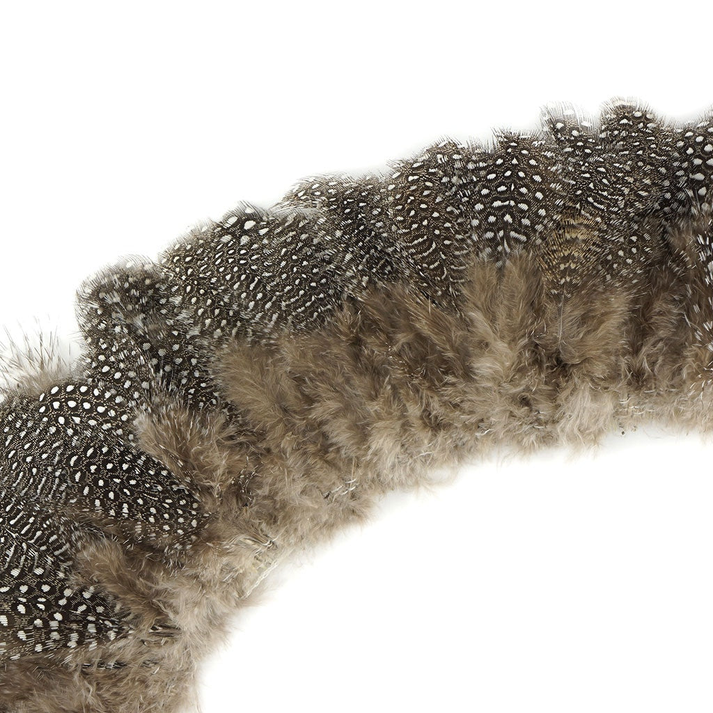 Guinea Plumage Feathers - Natural