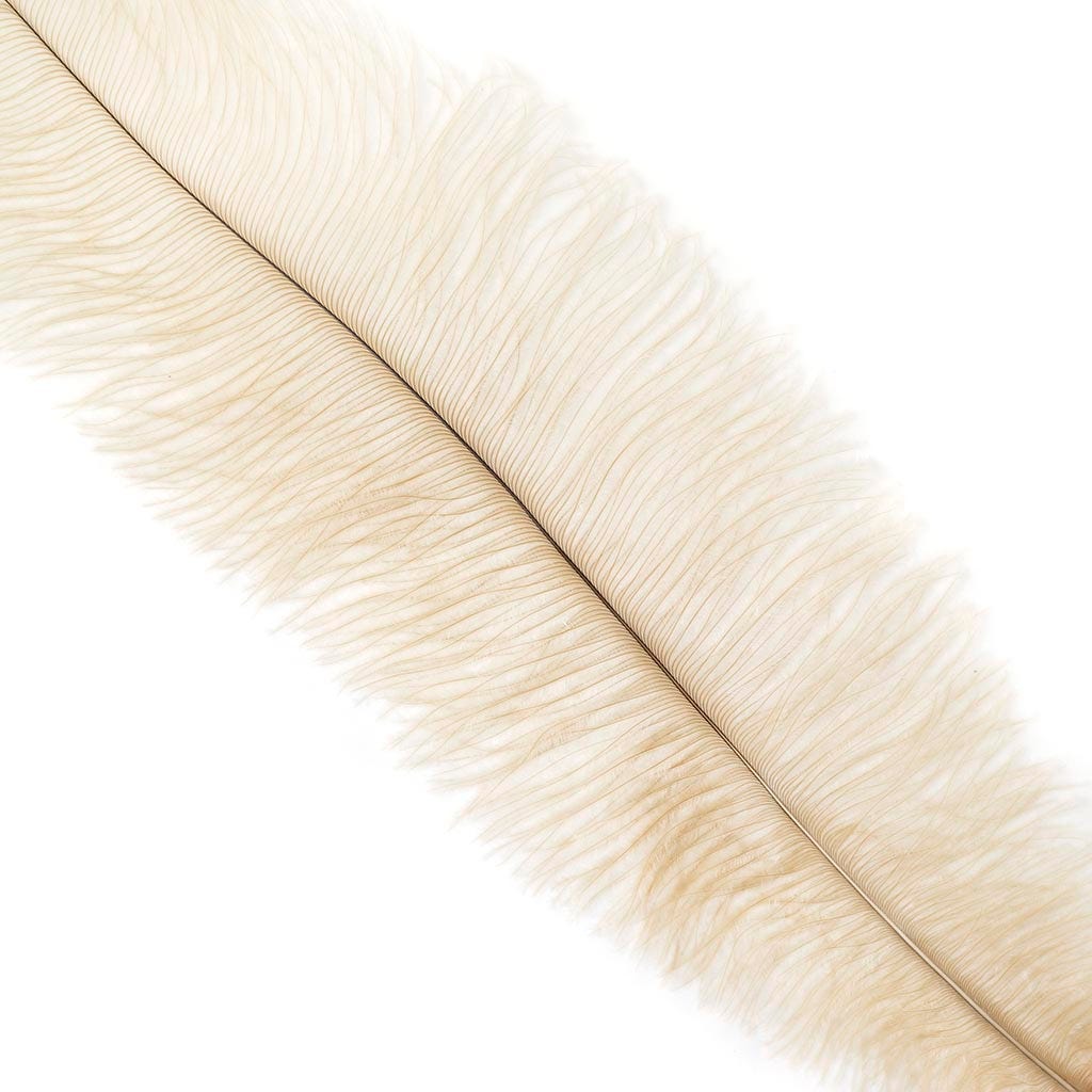 Ostrich Feathers-Floss - Natural Tonals