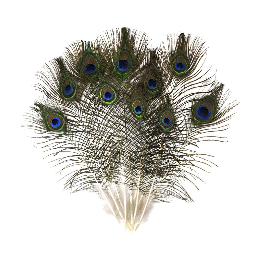 Peacock feather decorative feathers for crafting