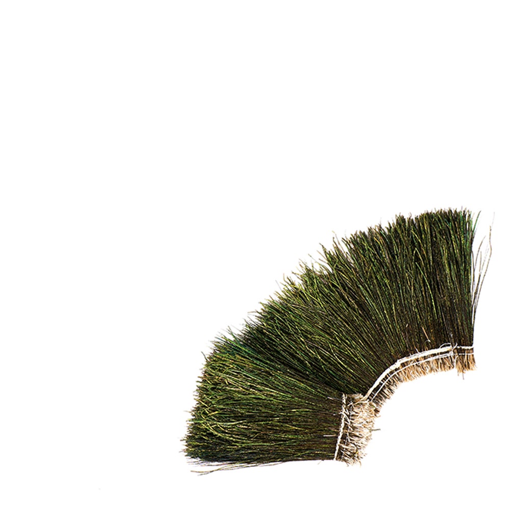 Peacock Flue (Herl) Feathers [{WEDDING CENTERPIECES}] 4-6 Inches - Natural