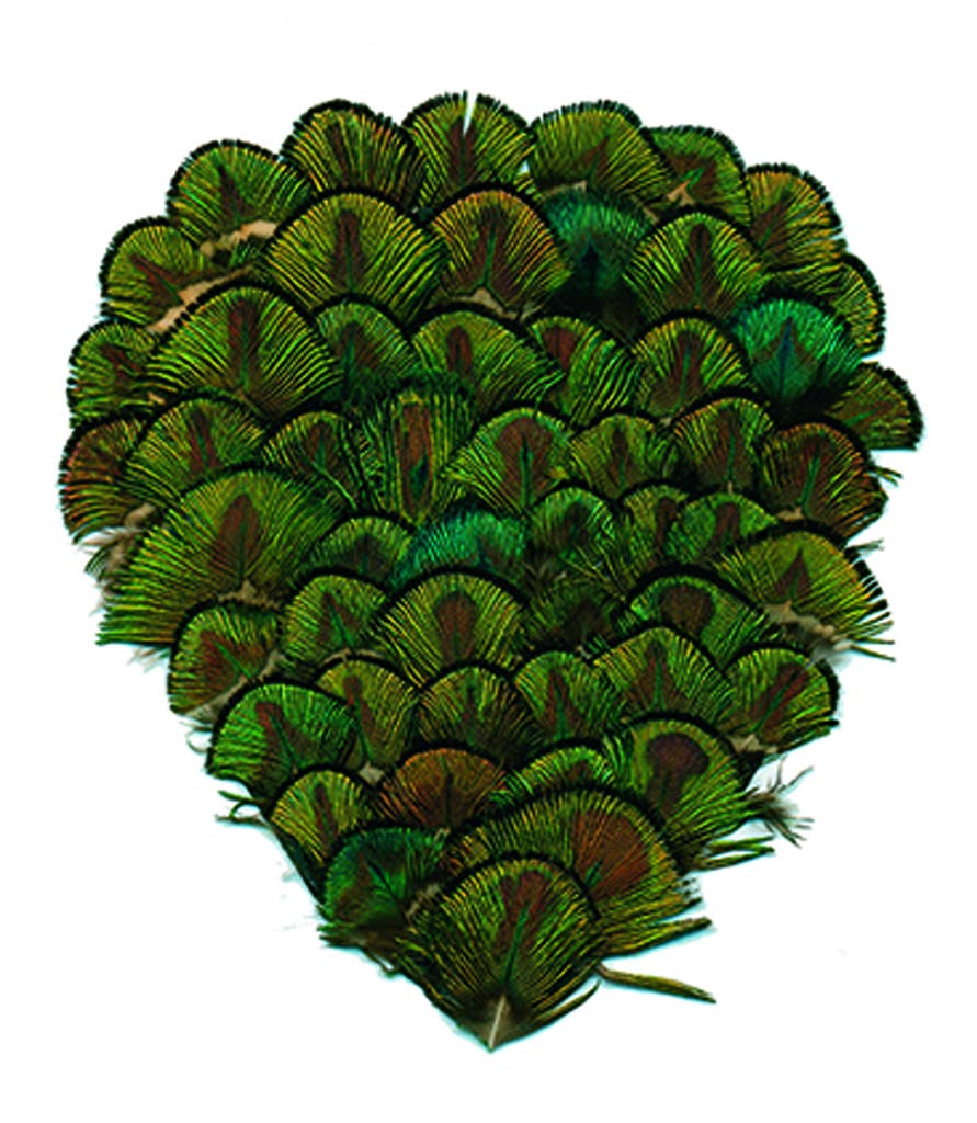 Gold Peacock Plumage Pad - Natural