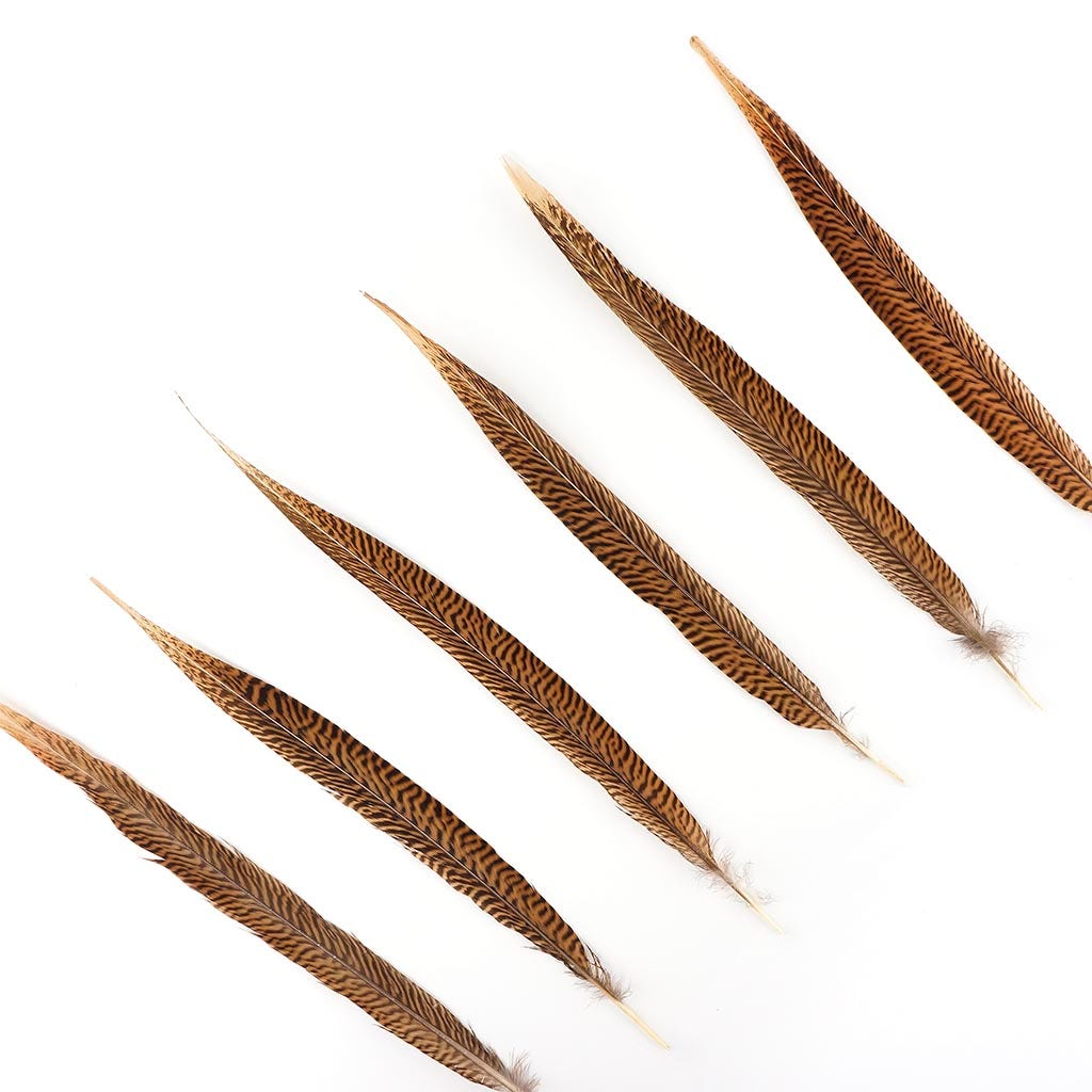 10 PC/PKG Golden Pheasant Tails 16-18" - Natural