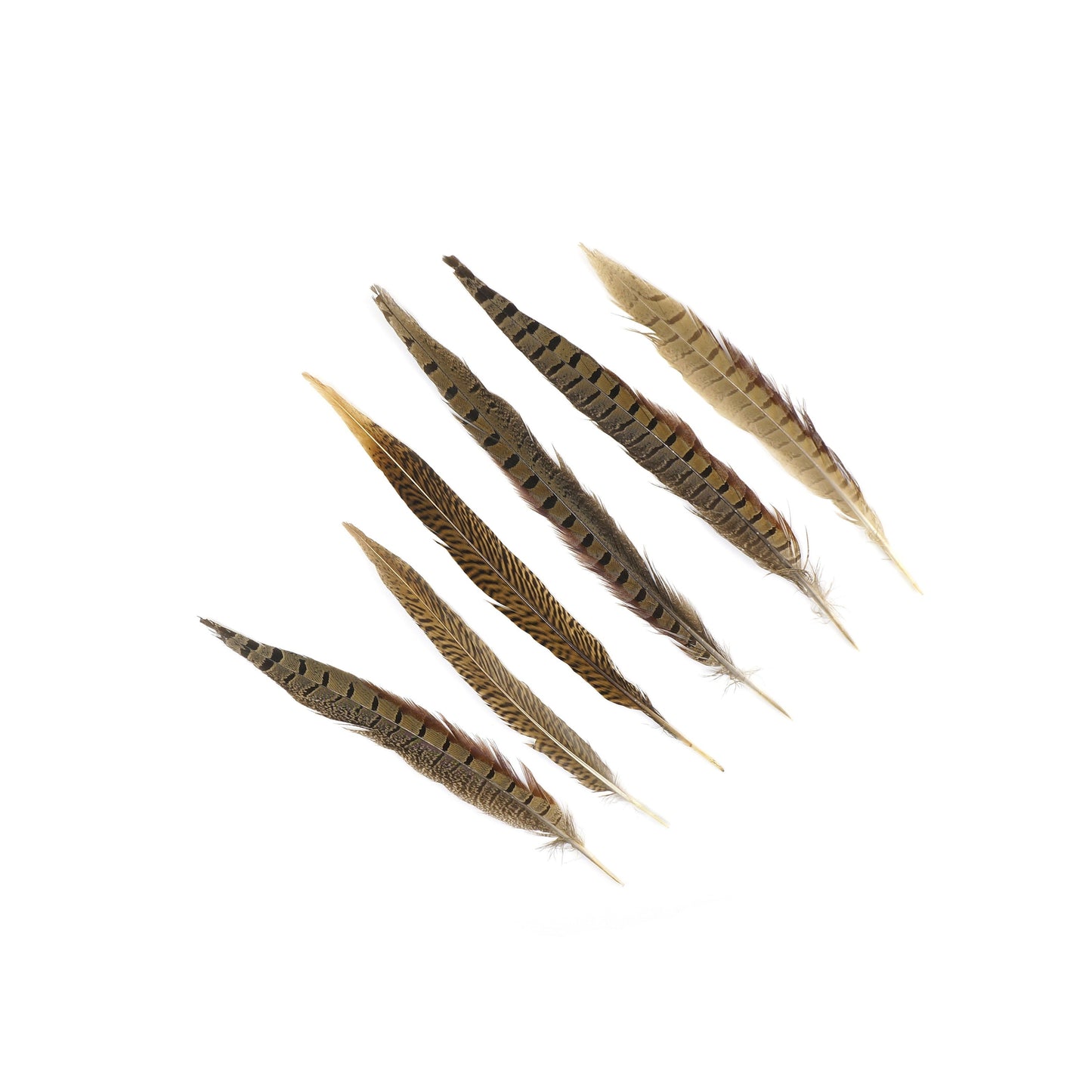 Assorted Pheasant Tails - Natural