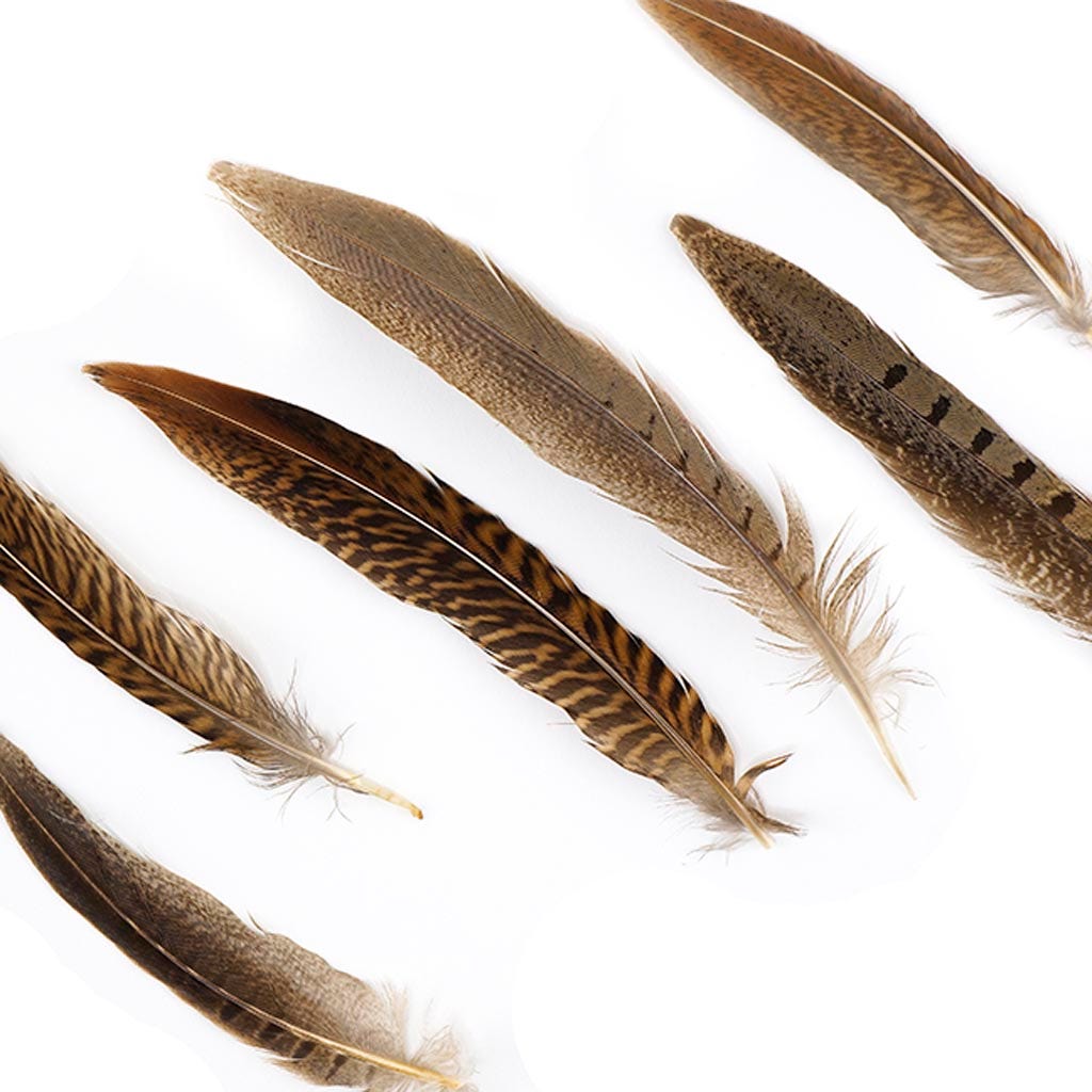 Assorted Pheasant Tails - Natural - 4 - 8"