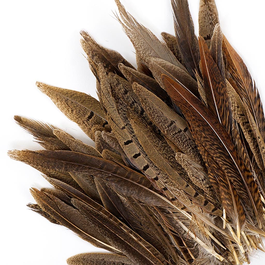 Assorted Pheasant Tails - Natural - 4 - 8"