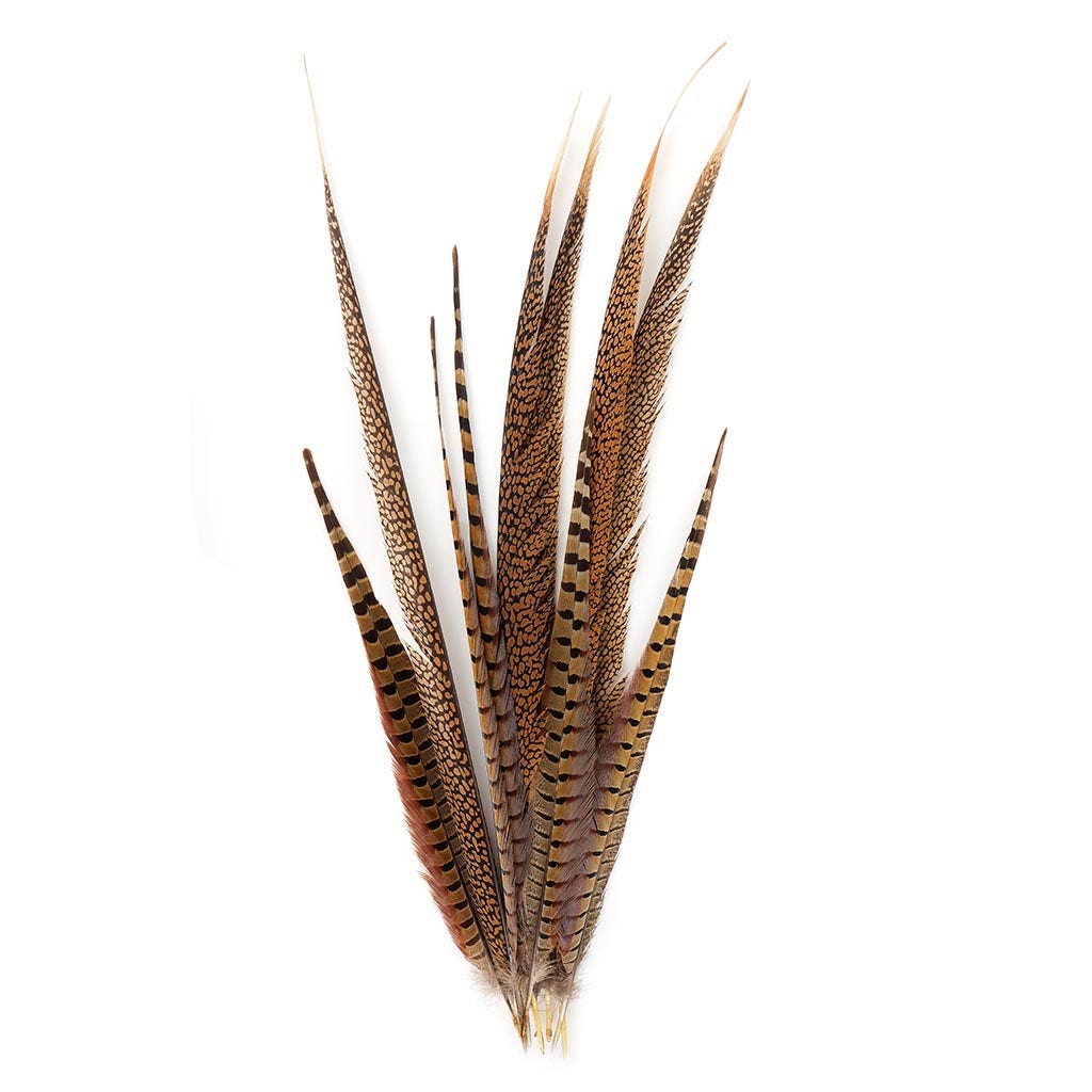 Zucker Feather Products Pheasant Tails Assorted Natural -16-30