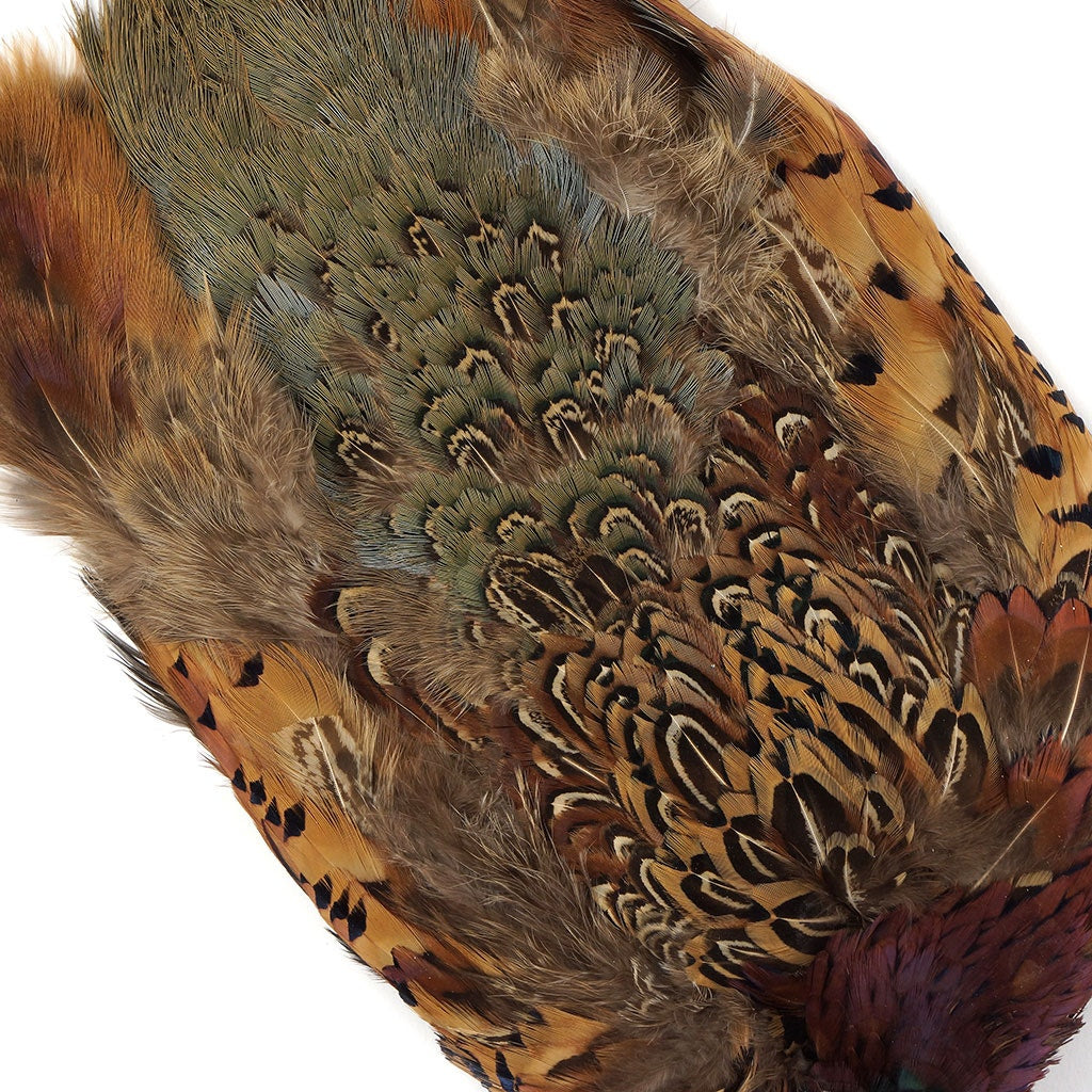 Ringneck Pheasant Pelts No Neck/Wing #1 - Natural
