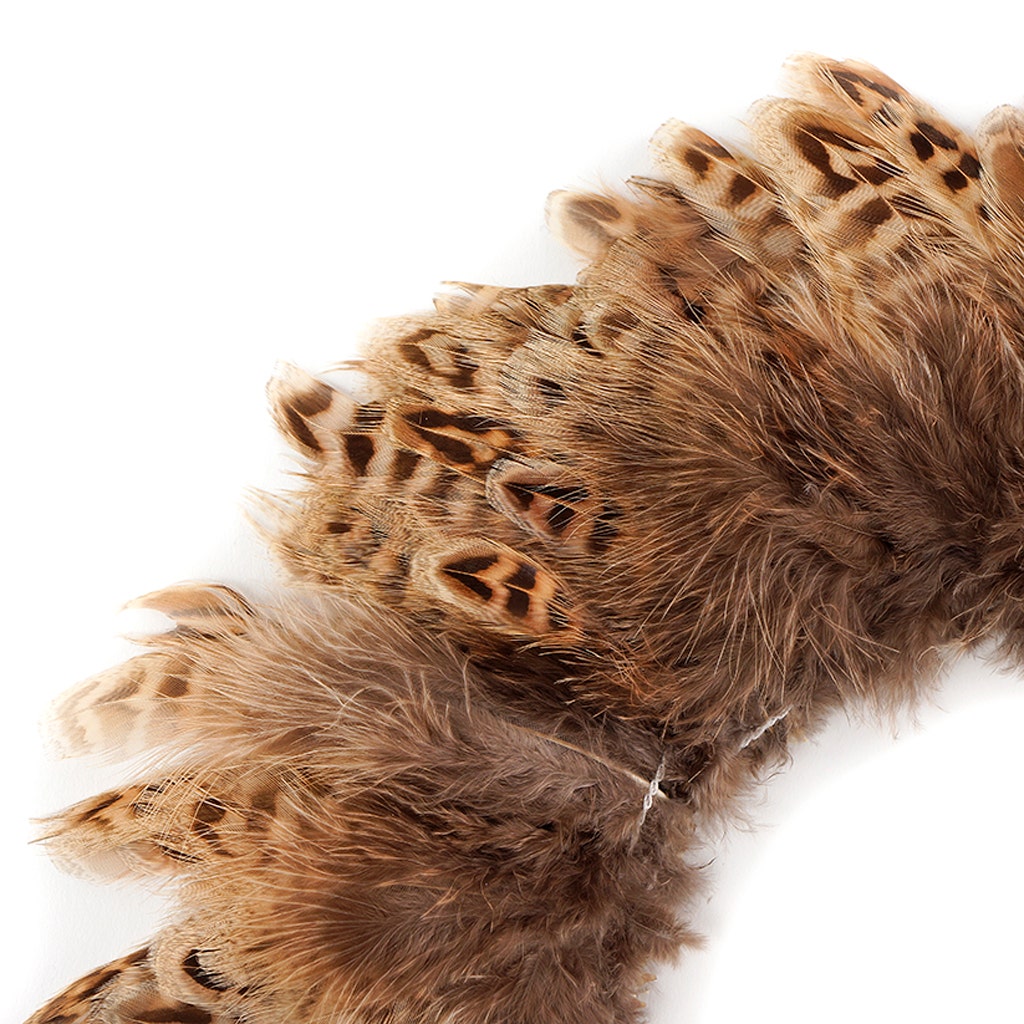 Ringneck Pheasant Plumage - Natural