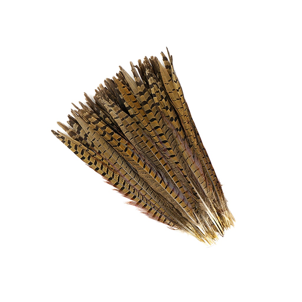 Ringneck Pheasant Feathers - 14-16