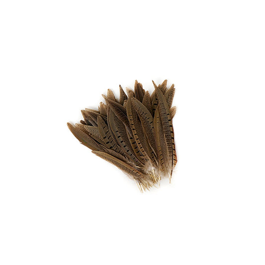 Ringneck Pheasant Tails - Natural - 6 - 8"