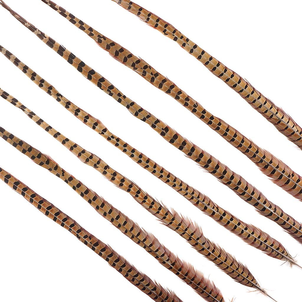 Ringneck Pheasant Tails - Natural- 30-35" - 12 pcs