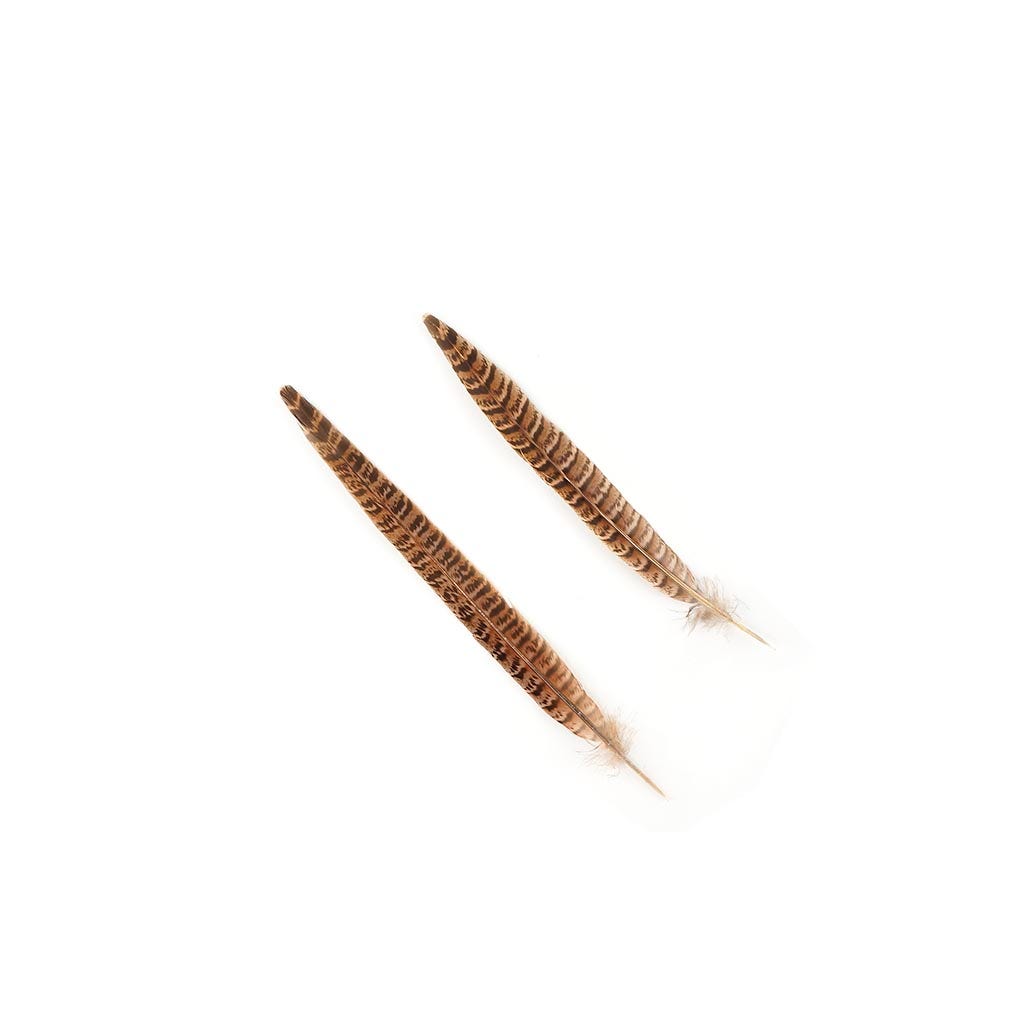 Female Ringneck Pheasant Tails - Natural - 8 - 10"