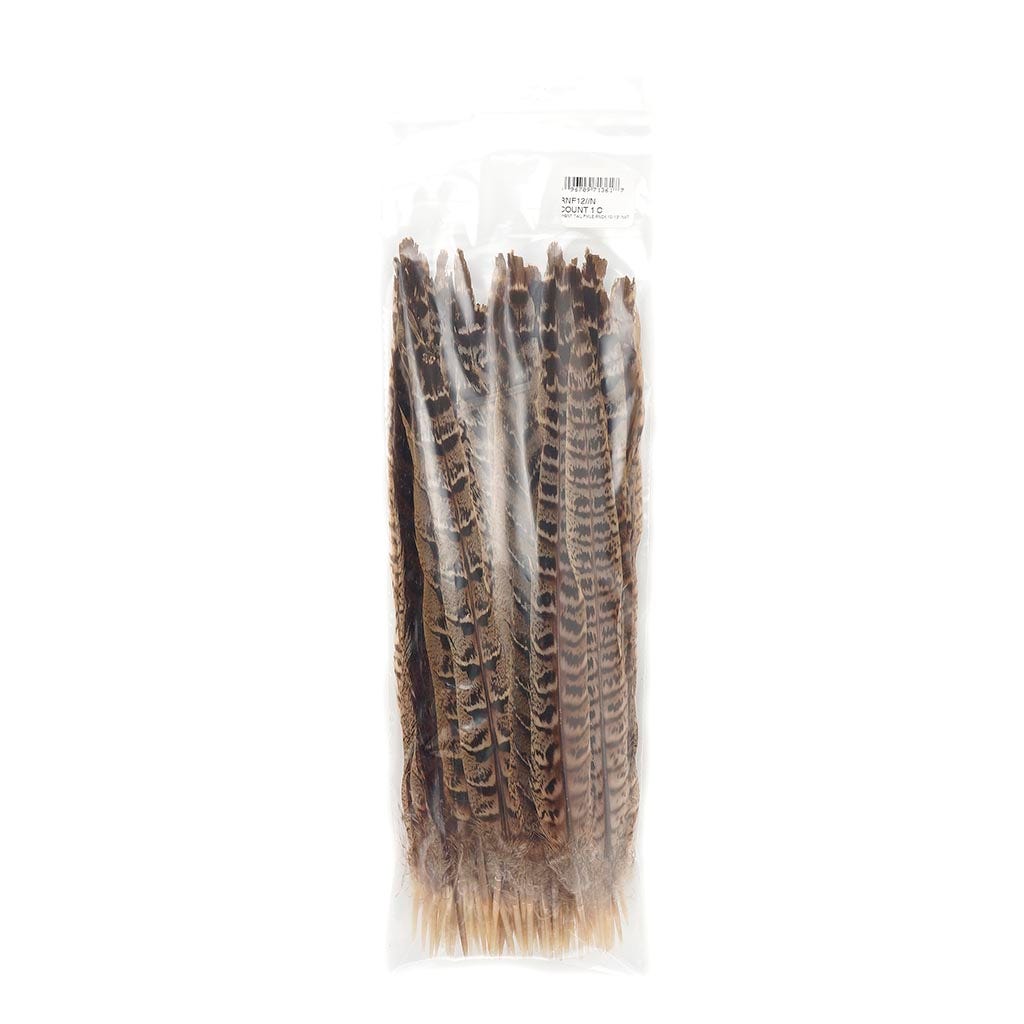 10 PC/PKG Female Ringneck Pheasant Tails 10-12" - Natural
