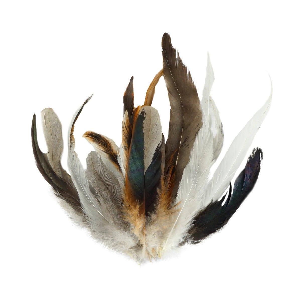 Rooster Feathers For Sale, Bulk Feathers