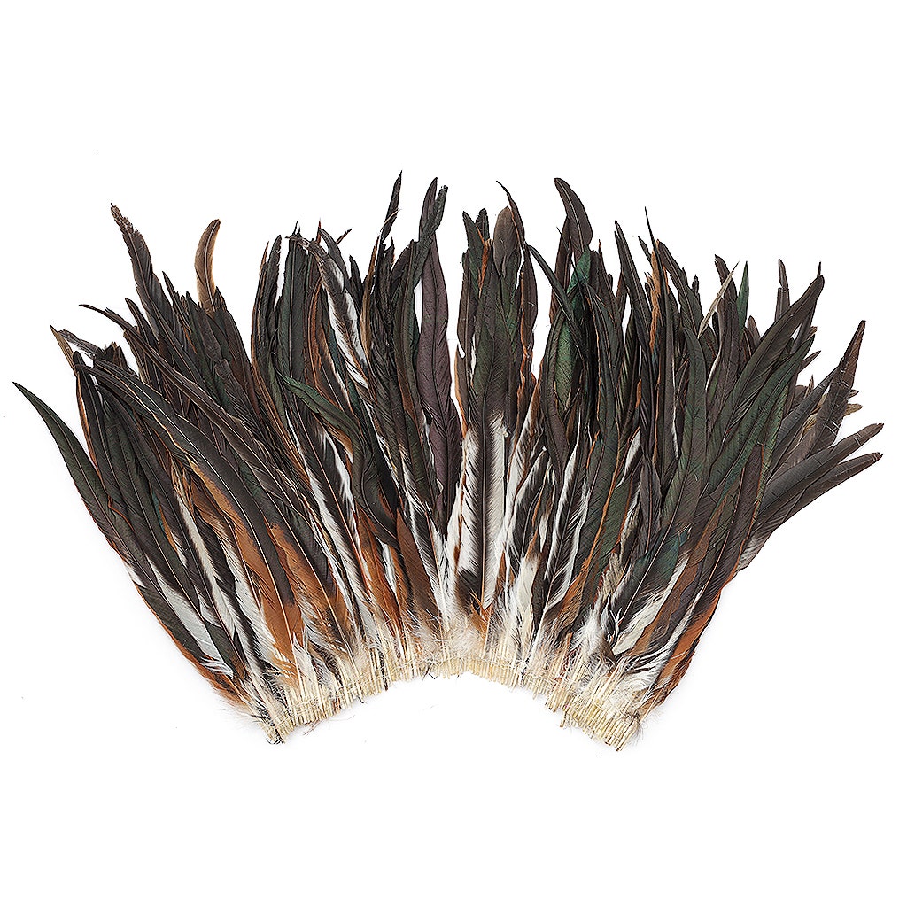 Coque Feathers & Rooster Feathers
