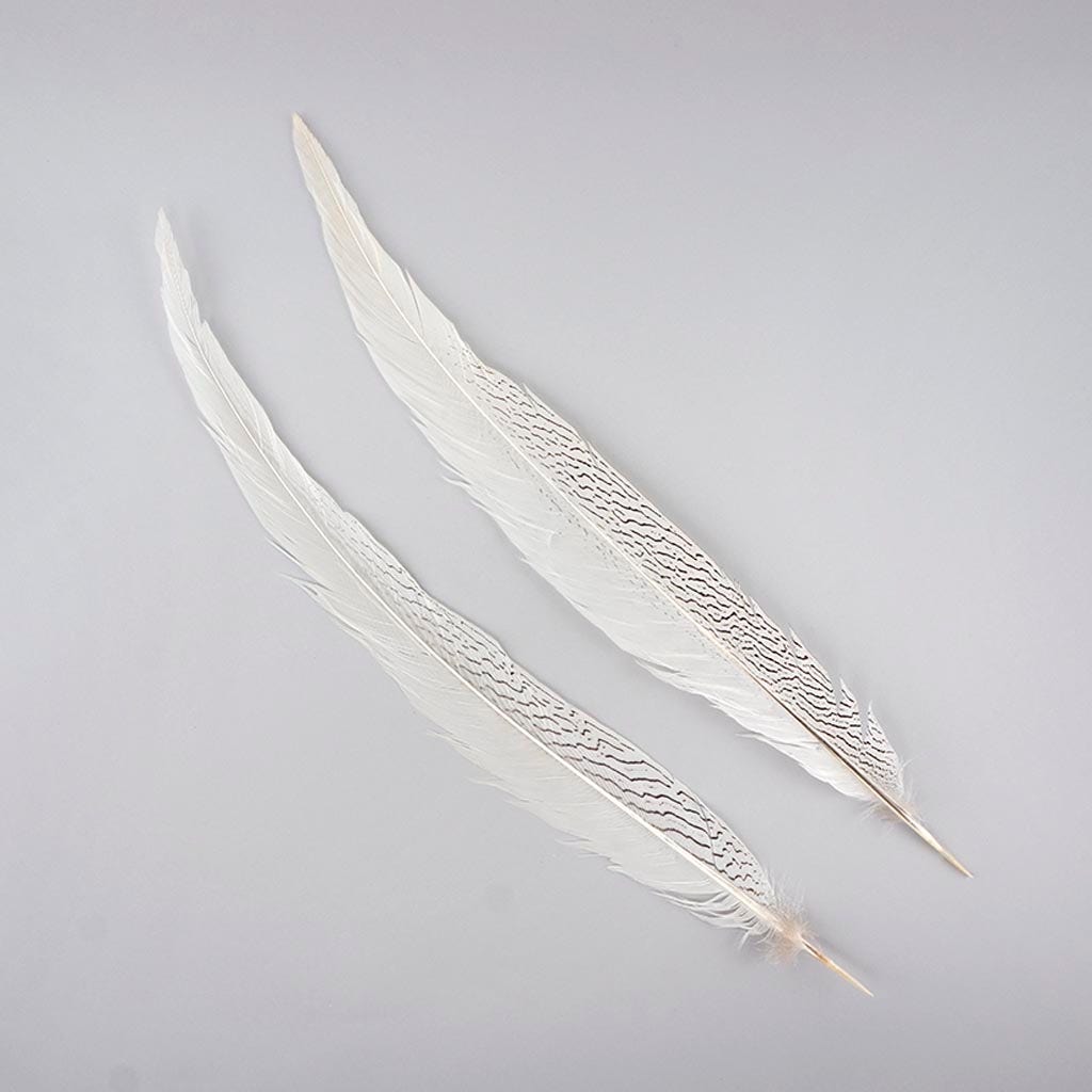 Silver Pheasant Tail Feathers - Natural - 20 - 25"