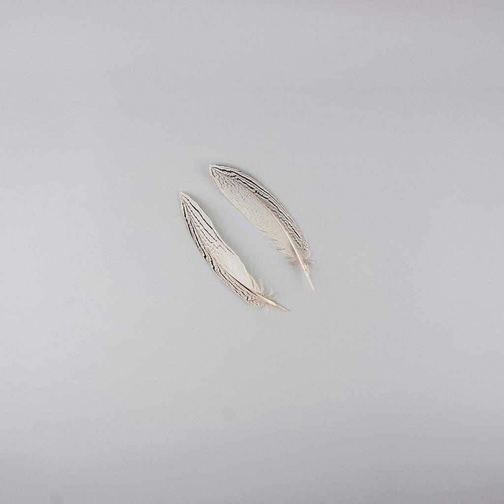 Silver Pheasant Tail Feathers - Natural