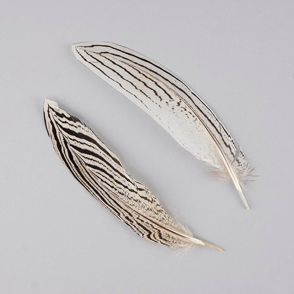 Silver Pheasant Tail Feathers - Natural