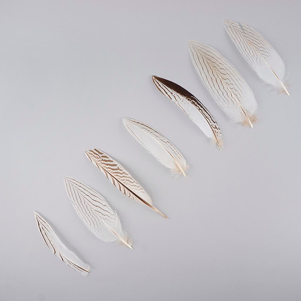 Natural Silver Pheasant Tail Feathers 6-8" 12 pcs