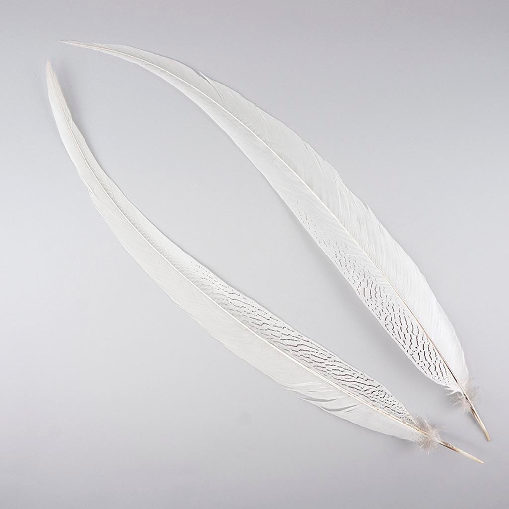 Silver Pheasant Tail Feathers - Natural