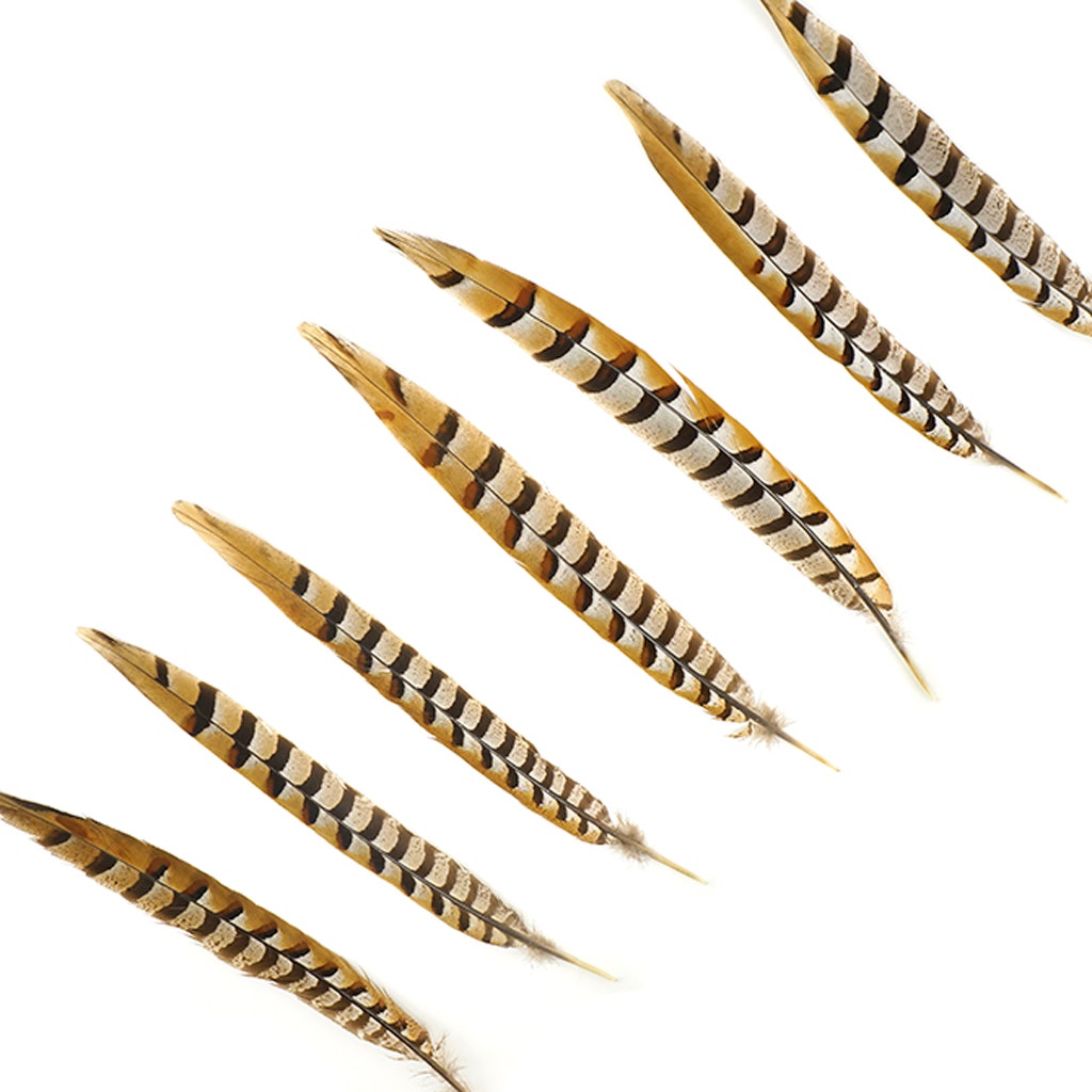 Venery Pheasant Tails - Natural - 12 - 16"