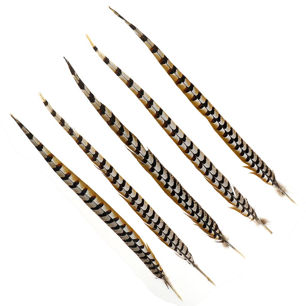 Venery Pheasant Tails - Natural - 20 - 30"