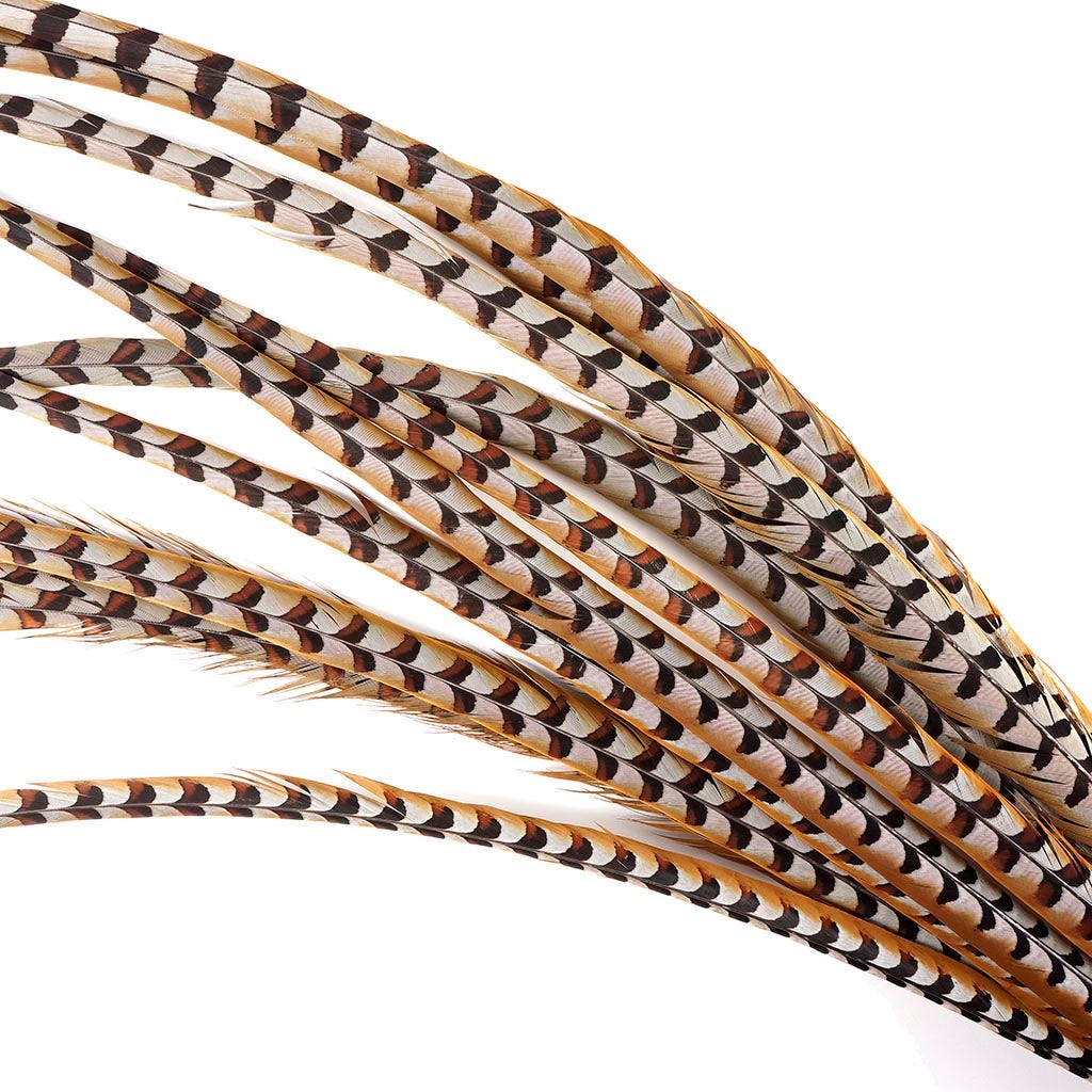 Venery Pheasant Tails - Natural - 50 - 60"