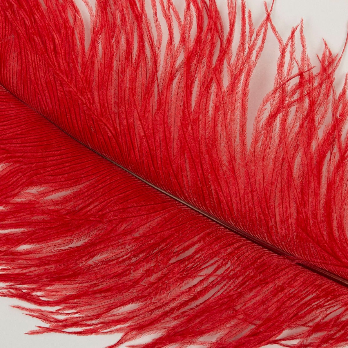 Ostrich Tails 16-18 inch - 30 PC - Red