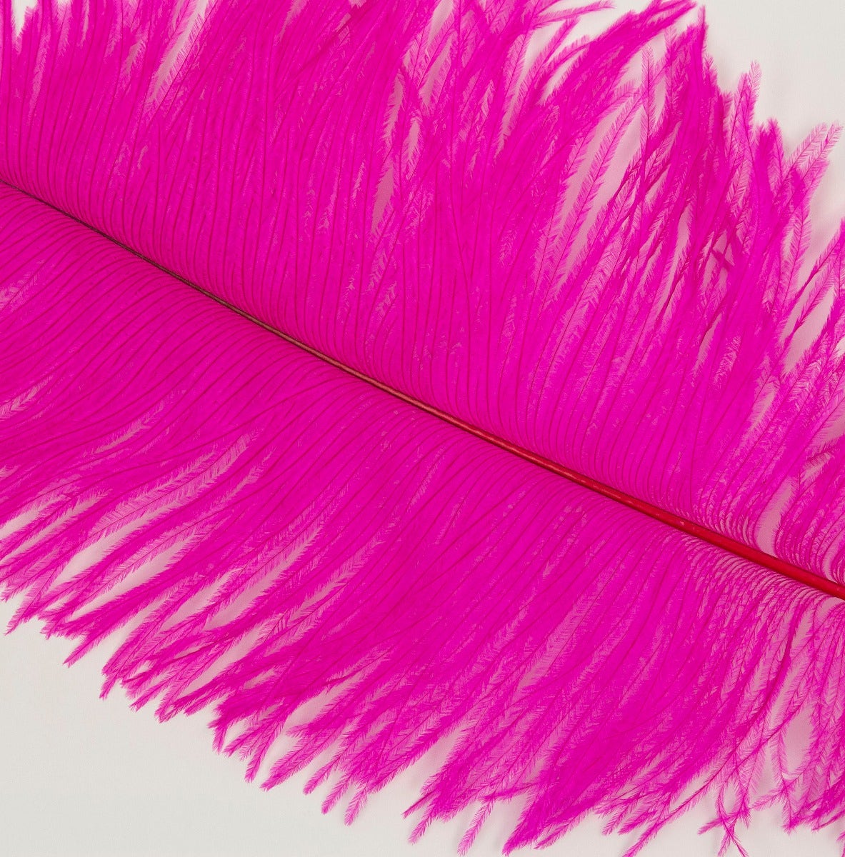 Ostrich Tails 16-18 inch - 30 PC - Shocking Pink